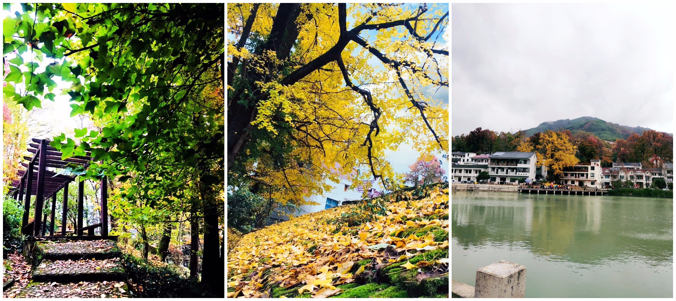 1542961013129232.jpg 1542961013129232.jpg