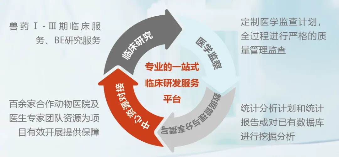 20241012095618172674.jpg 646.jpg